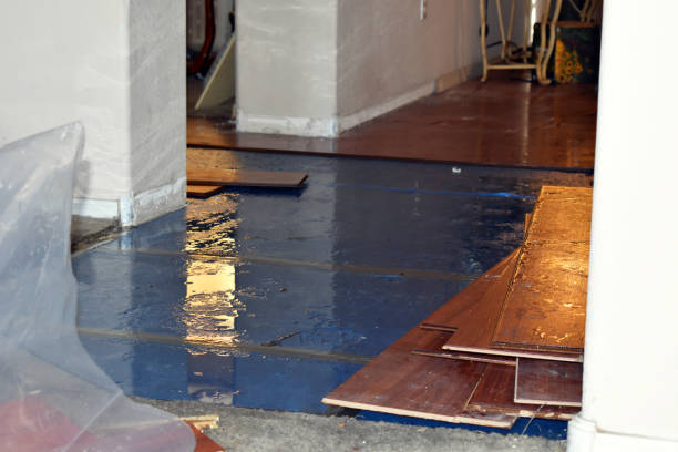 Professional Burst Pipe Cleanup technician working in Thompson, ND